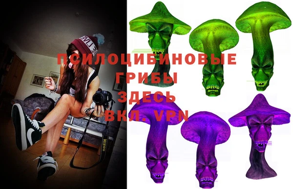 гашик Белоозёрский