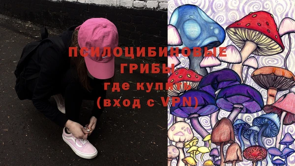 ПСИЛОЦИБИНОВЫЕ ГРИБЫ Беломорск