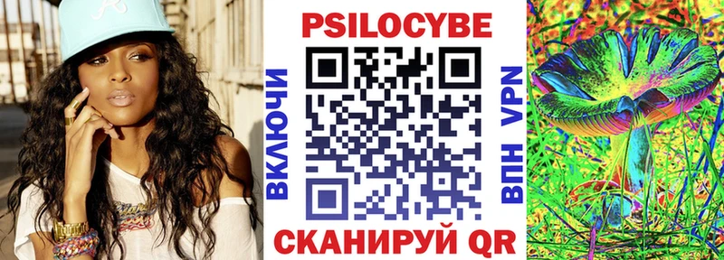 Псилоцибиновые грибы Psilocybine cubensis  что такое   Бородино 